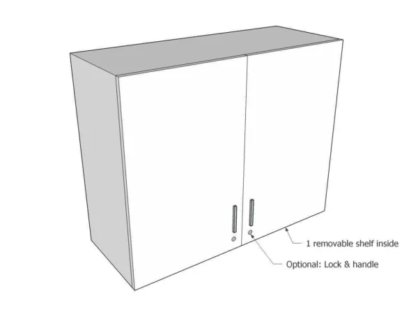 Wall mounted Cabinet: 2 Door